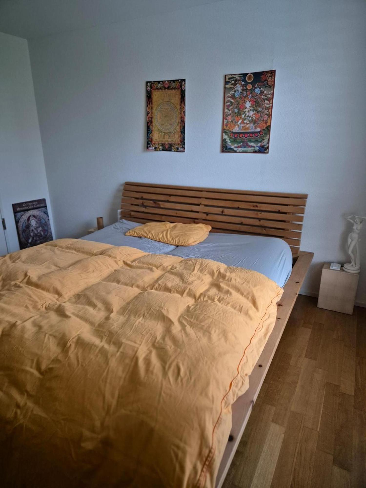 Zimmer In Penthouse-Wohnung Windisch Oda fotoğraf