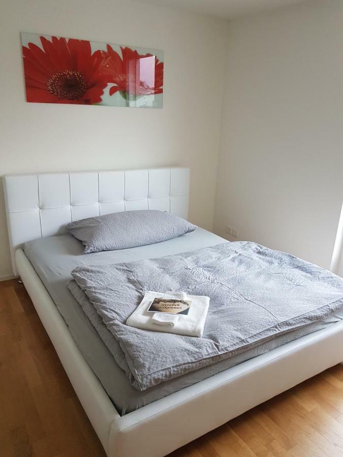 Zimmer In Penthouse-Wohnung Windisch Dış mekan fotoğraf