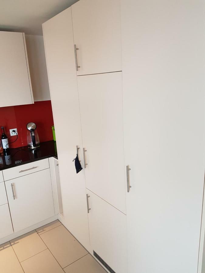 Zimmer In Penthouse-Wohnung Windisch Dış mekan fotoğraf