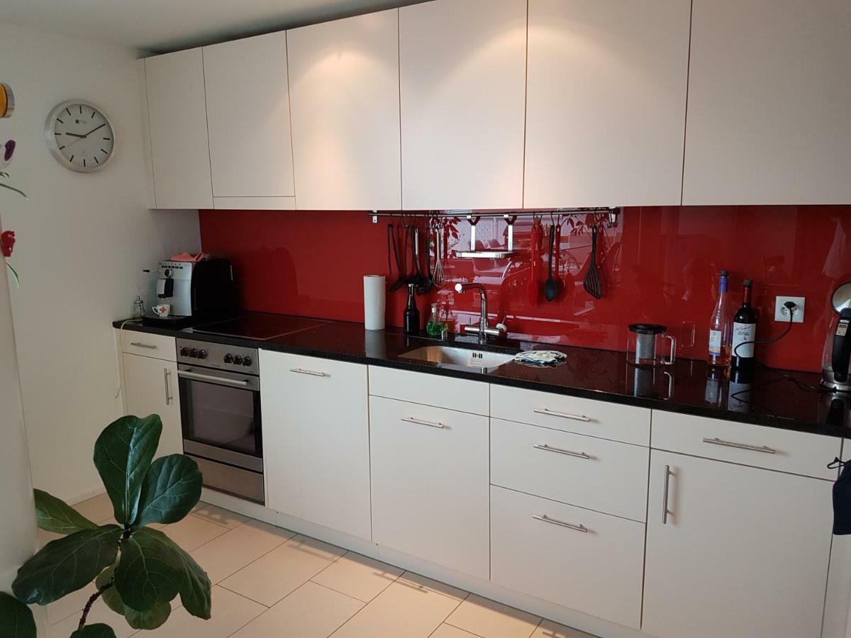 Zimmer In Penthouse-Wohnung Windisch Dış mekan fotoğraf
