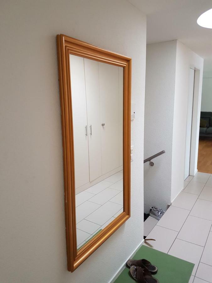 Zimmer In Penthouse-Wohnung Windisch Dış mekan fotoğraf