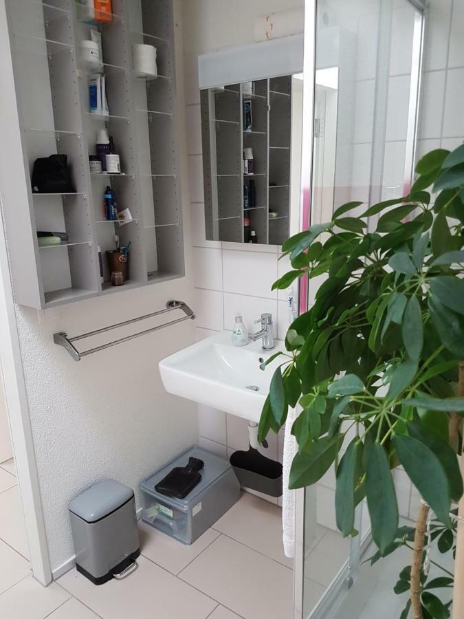 Zimmer In Penthouse-Wohnung Windisch Dış mekan fotoğraf