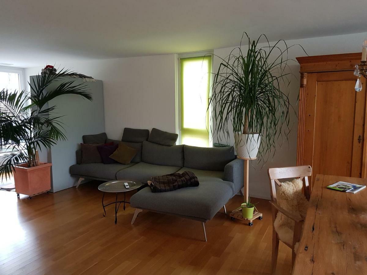 Zimmer In Penthouse-Wohnung Windisch Dış mekan fotoğraf
