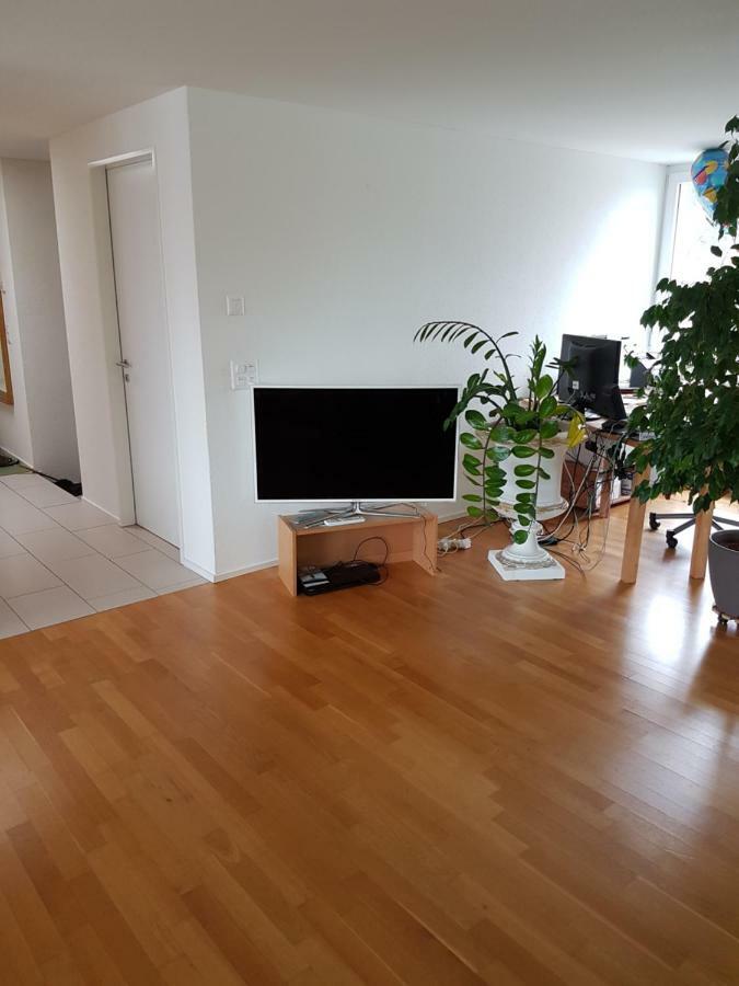 Zimmer In Penthouse-Wohnung Windisch Dış mekan fotoğraf