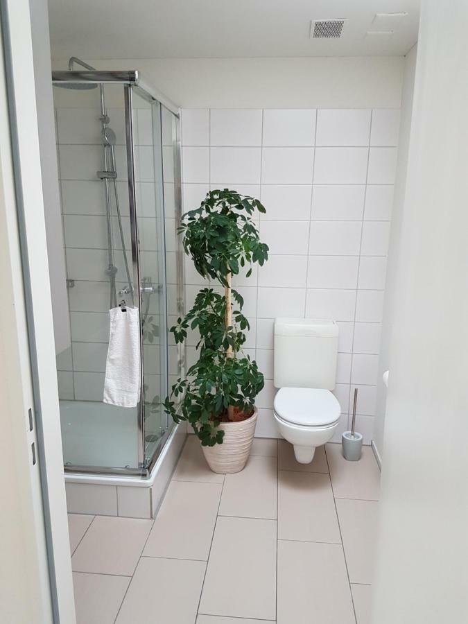 Zimmer In Penthouse-Wohnung Windisch Dış mekan fotoğraf