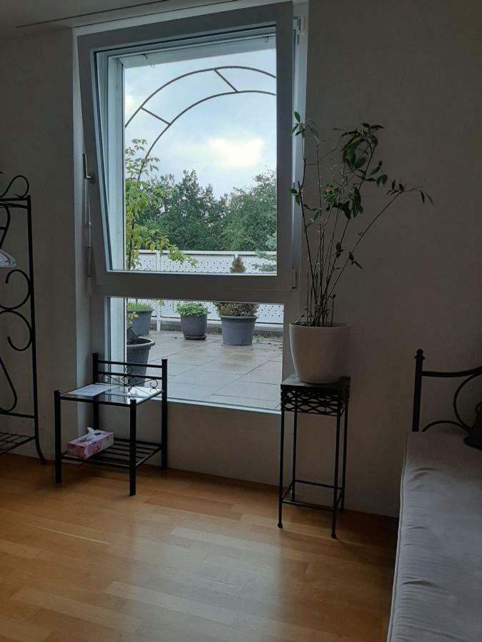 Zimmer In Penthouse-Wohnung Windisch Dış mekan fotoğraf